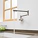 Aquafaucet Wall Mounted Pot Filler Kitchen Faucet With Double Joint Swing Arm Brushed Nickel