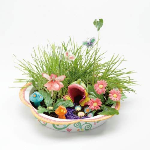 Our Favorite DIY Terrarium Kits Make Your Own Tiny Garden Essential