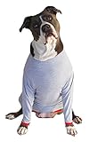POPforPETS Post Operative Protection Shirt for Dogs (Small)