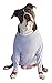 POPforPETS Post Operative Protection Shirt for Dogs (Medium) - POP for Pets Better Than The Cone! The Most Comfortable Alternative Shirt for Recovery!