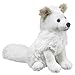 Arctic Fox 7