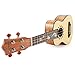 Donner Soprano Ukulele 21 inch，Beginners Ukulele for Adult，Satin Mahogany & Starter Kit - Online Lesson，Gig Bag，Strap Nylon Strin Tuner Picks Cloth Ukalalee Set DUS-3