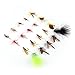 LotFancy 20 Pcs Fly Fishing Flies, Dry/Wet Flies, Nymph Flies, Wooly Bugger Flies, Streamers, Emergers, Caddis Fly Assortment for Trout Bass Salmon