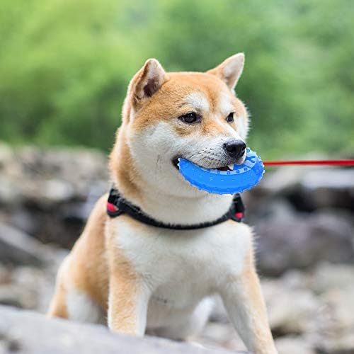 teether for dogs