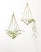Mkono Hanging Air Plant Holder Modern Geometric Planter with Chain Tillandisia Container Himmeli Wall Decor, Gold