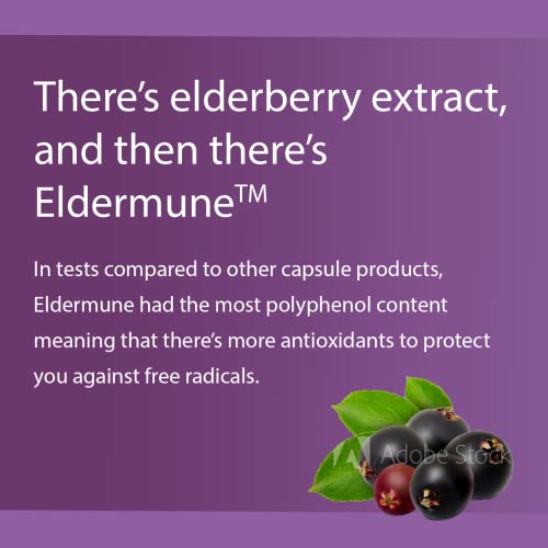 Pro Formulations — Elderberry Elite — Strongest Available Elderberry