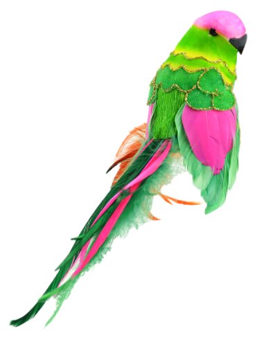 Touch of Nature 20188 Fancy Tail Parrot, 9-Inch