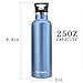 TOPOKO 25 OZ Double Wall Stainless Steel Water Bottle, Straw Lid with Handle, Vacuum Insulated, Sweat Proof, Leak Proof Travel Mug Sports Bottle, Keep Warm or Cold Up to 24 Hours. (Blue)
