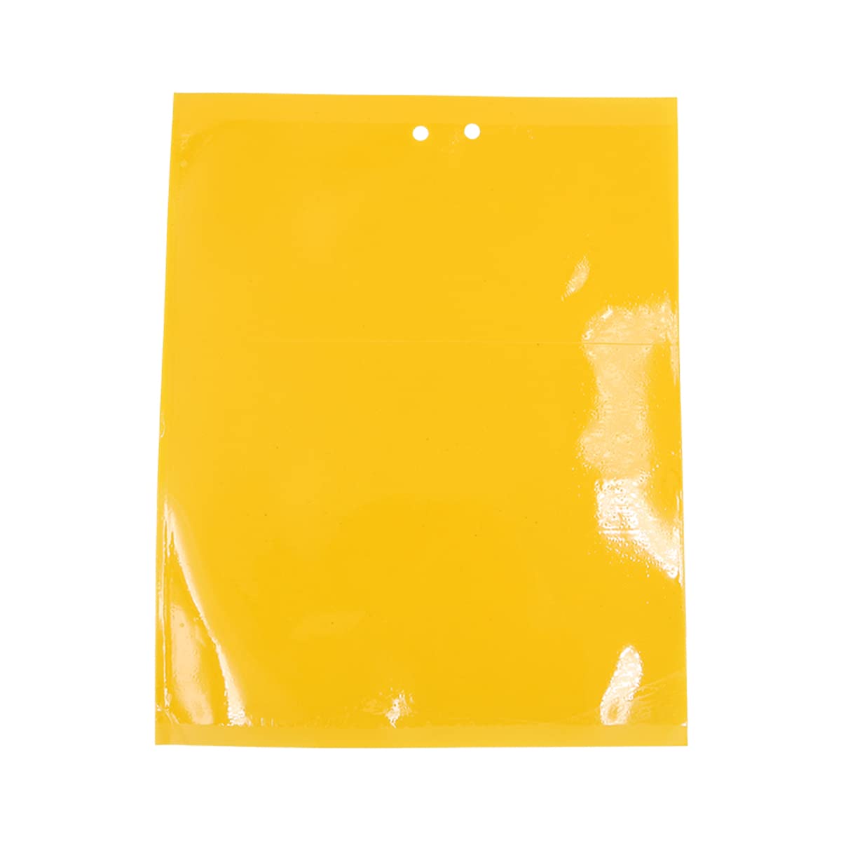 Tiardey 20PCS Yellow Fruit Fly Trap Fungus Gnat Sticky Traps for Plant Insect Like Fungus Gnats Flying Aphid Whiteflies Leafminers 20x15cm