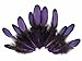 Moonlight Feather | 1 Dozen - Purple Whiting Farms Laced Hen Saddle Feathers Craft Halloween Fly Tying