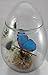 Giant Blue Morpho Butterfly Mounted in Glass Container