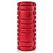 Foam Roller for Trigger Point & Physical Therapy, Myofascial Release, Muscle Massage & Pain Recovery, Deep Tissue Massager - Pressure Points Foam Roller, Starter Pamphlet, Storage Compartment