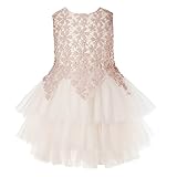 Domiray Flower Girl Dress with 6 Layer Soft Yarn Princess Wedding Party Dress