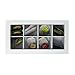 Decorative Home Decor Wood Tea Box, 10.75