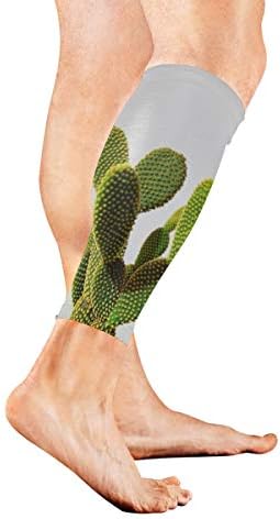 Leg Sleeve One Cactus Compression Socks Support Non Slip Calf Sleeves Pads for Running, Shin Splint, Calf Pain Relief, Runners, Medical, Air Travel, Nursing, Cycling 1Pair