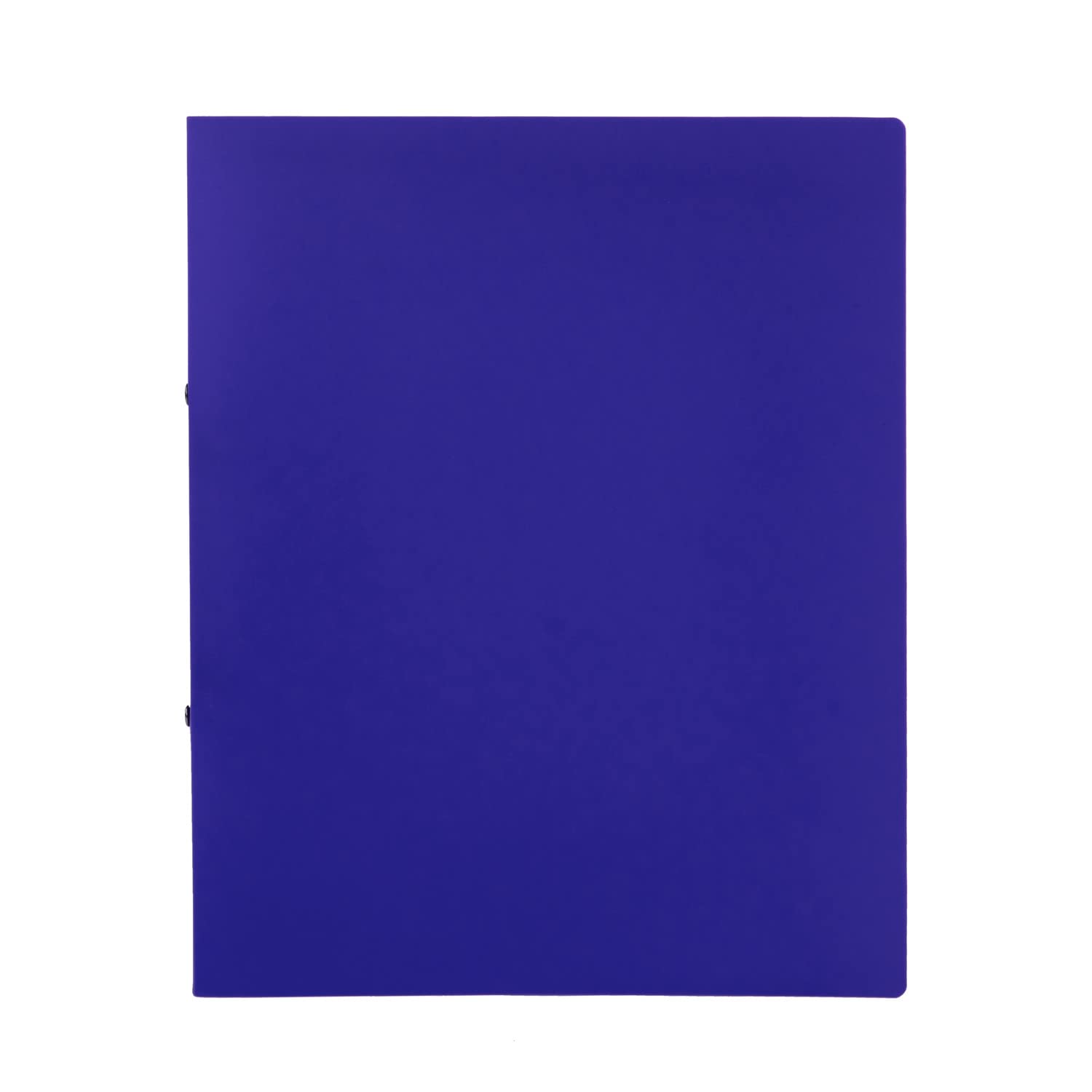 Idena Ring Binder DIN A4 with 2-Ring Mechanism 20 mm Spine Width 1 Items Pack of 1 Blue