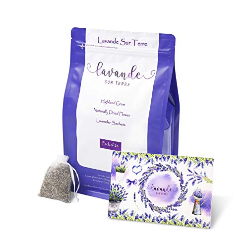 24 Packs French Lavender Sachets for Drawers and Closets Fresh Scents