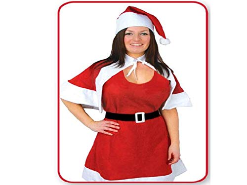Ss, Outfit Miss Claus Costume Ladies Budget Mrs Santa Claus Christmas Costume Nativity Panto Fancy Dress Women, Size 5 x 27 x 39 (cm)