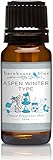 Barnhouse Blue - Aspen Winter - Premium Grade Fragrance Oil ... (10ml)