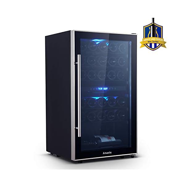 Aamaste-Wine-Fridge-29-Bottle-Dual-Zone-Wine-Cooler-Freestanding-Wine-Refrigerator-with-Double-Pane-Anti-UV-RaysAnti-frost-Tempered-Glass-Door-High-Efficiency-Compressor-Stainless-Steel-Rack-Shelves-B