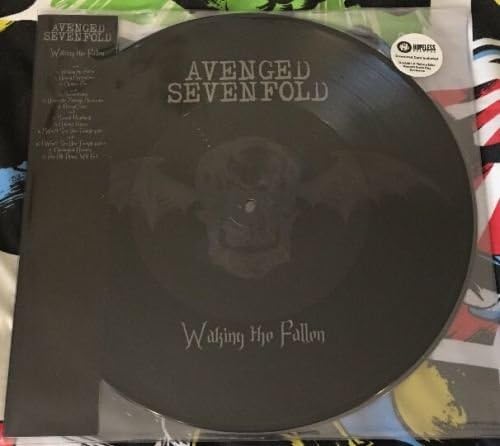 Waking The Fallen [VINYL] Amazon.co.uk CDs & Vinyl
