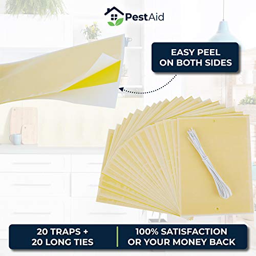 Yellow Sticky Traps For Gnats (20 Pack) Sticky Gnat Trap Gnat