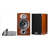 polk audio tsi100 cherry
