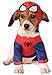 Rubies Costume Company Marvel Classic/Marvel Universe Spider-Man Pet Costume, Large