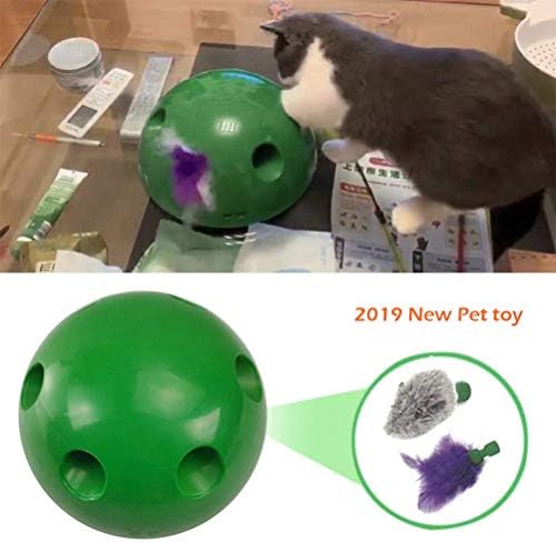 Sefod 猫おもちゃ 猫玩具 猫じゃらし ねずみ 猫運動不足 電動おもちゃ ストレス解消対策 音が出る 電池式 猫用電動おもちゃ ねこ 猫おもちゃ 電動猫おもちゃ 電動猫じゃらし 猫用品 キャット用品 ペット用品 ペットおもちゃ B07y3dyfzn 7円 全品最安値に挑戦 70