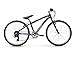 Raleigh Bikes Girls Alysa 24 Urban Fitness Bike, 24
