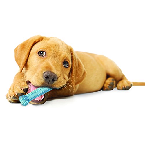 Nylabone Puppy Chew Chicken Dog Chew Toy for Teething Puppies
