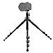 Dolica AX620B100 62-Inch Proline Tripod and Ball Head