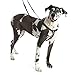 Freedom No-Pull Dog Harness Training Package, Large, Purple