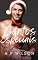 Livro Contos Especiais [Vol.2]: Natal e Ano Novo (Os melhores contos Gays de A P Wilson Livro 11)