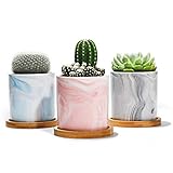 POTEY Succulent Plant Pots Marble - 2.7” Ceramic Cacuts Planters Cylinder Minimalism Indoor- Drain Hole with Bamboo Tray - Set of 3, Pink, Grey, Blue
