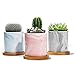 POTEY Succulent Plant Pots Marble - 2.7