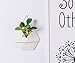 Purzest Wall Decor,Modern Hanging Planter Vase, Geometric Wall Decor Container - Great for Succulent Plants, Air Plant, Faux Plants,White Ceramic/Brass