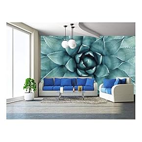 Sharp Pointed Agave Plant Leaves