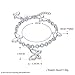 Valentine`s Day Gifts Dangle Filigree Butterfly Charm Lobster Clasp Link Chain Bangle Bracelet for Women and Girls