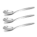 ERCRYSTO Stainless Steel Square Spoons - Set of 3 (Large)