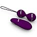 RZWD mini Vibration egg, Waterproof Vibrator, Remote Control Vibration Massager 7 Vibration and Rabbit Vibrator (HY1-Purple)