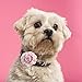 Leinuosen 14 Pcs Dog Flowers Collar Pet Adjustable Dog Large Flowers Bow Tie Multi Color Floral Collar Charms for Small Medium Big Female Cat Puppy Neck Bows Sliders Grooming Accessories(3.15 Inch)
