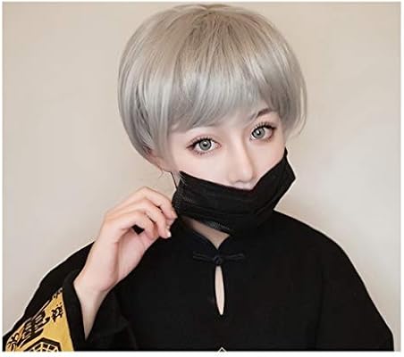 Kppto Wig Silver Gray Short Straight Hair Bobo Head Anime Cos