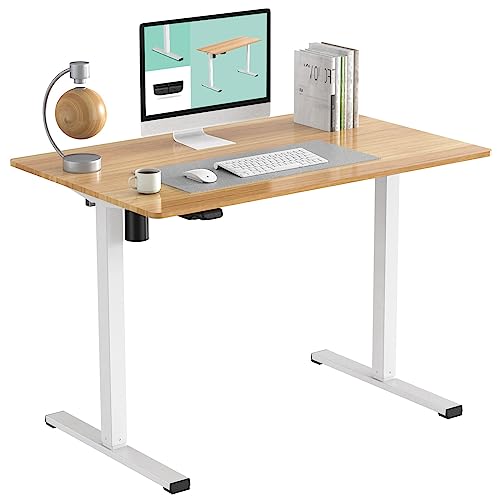 FLEXISPOT Standing Desk 48 x 24 Inches Whole-Piece