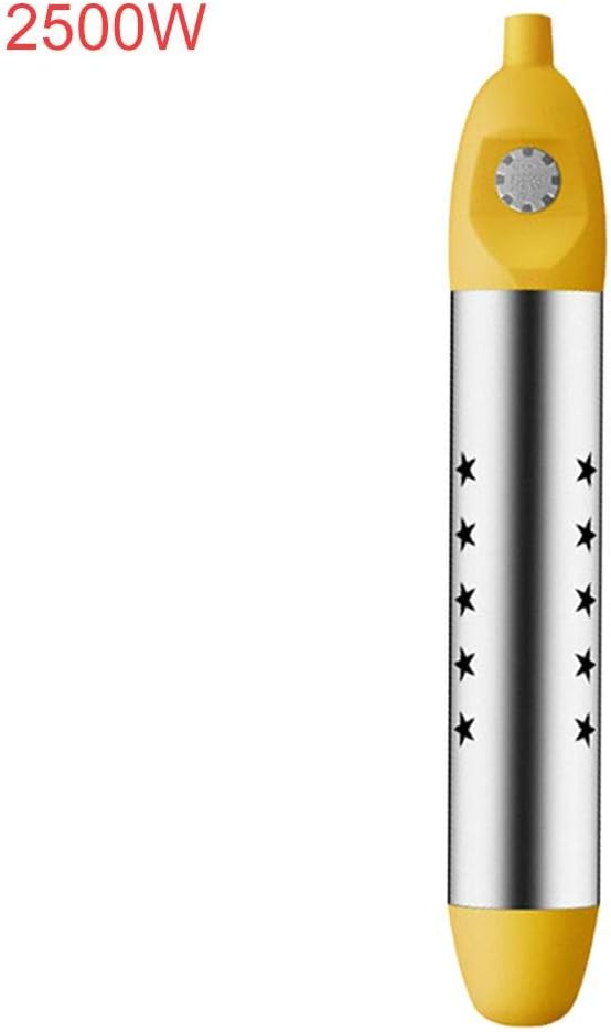 Riscaldatore ad immersione per piscina