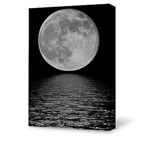 Canvas Wall Art for Living Room,Bedroom Home Artwork Paintings Beautiful Moonlight Ready to Hang - 12x18 inches