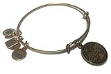 Alex and Ani Jimmy Fund Charm Bangle in Rafaelian