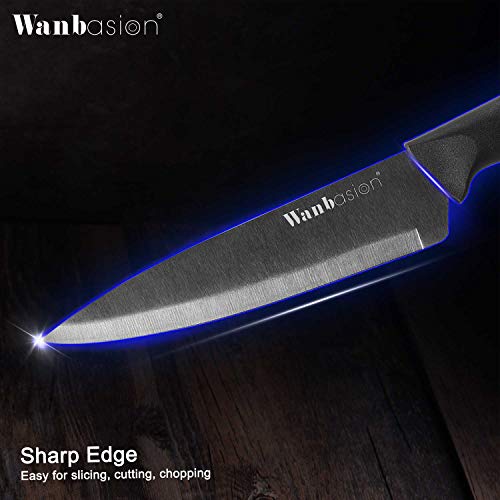 5 Wanbasion+TK+80812+Stainless+Professional+Dishwasher