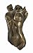 Veronese Design Bronzed Nude Female Torso Wall Plaque