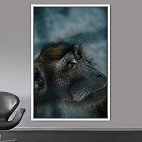 signwin Framed Canvas Wall Art Monkey Animals Expressive...